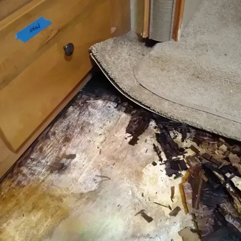 Best Wood Floor Water Damage Service in Aventura, FL